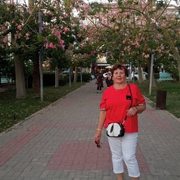 ����������, ������, 66 ���