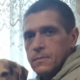 �����, ����, 42 ����