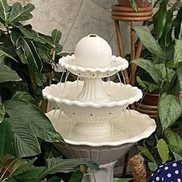 �����, �����, 54 ����