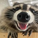 ���� ����, �����-���������, 52 ���� - ��������� 30 ������ 2025 � ������ ���� ����������