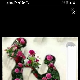 ���� ������ ���������, �����������, 43 ���� - ��������� 10 ������� 2025