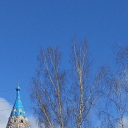 ��������, �����-���������, 61 ���