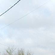 , 51 , 