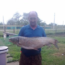 ����, ��������, 50 ���