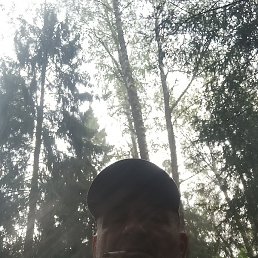 ,  , 53 