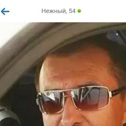, 54, 