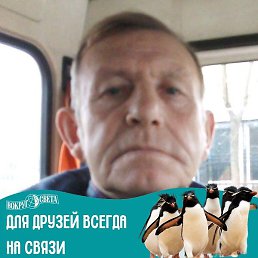 ��������, �����-���������, 73 ����