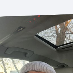 �����, �����, 33 ����