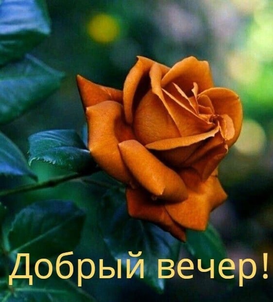   ,    . - 4  2025  20:08