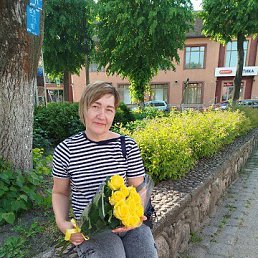 , 53, 