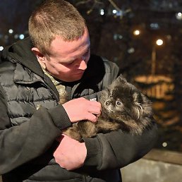 ���������, ������, 31 ���