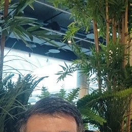 , 40, 