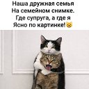 ���� �����, ���� - ��������� 3 ������� 2026 � ������ ������ ��������