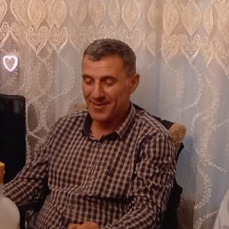 , 52, 