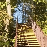 �����, 44 ����, ������