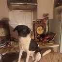 ���� ����, ������-��-����, 58 ��� - ��������� 24 ������� 2026