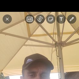 ����, 38 ���, ����