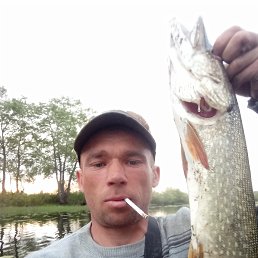 , 37, 