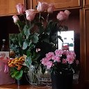 ���� �, ����� - ��������� 24 ������� 2023 � ������ ���� ����- �� ���������....�