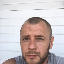 ���, 41 ���, ������