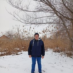 ������, ���������, 43 ����