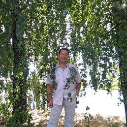 �������, �����, 61 ���