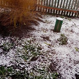 ���� ������, �����������, 62 ���� - ��������� 14 ������ 2023