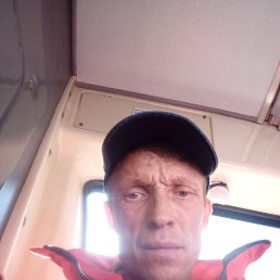 , 41,  