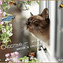 ���� �������, ������, 68 ��� - ��������� 20 ����� 2026 � ������ ������ ��������