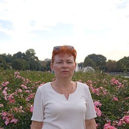 �������, ������, 56 ���