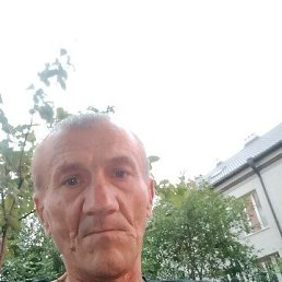 , 55, 