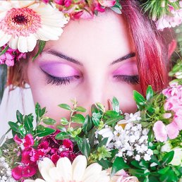 ���������, ������, 24 ����