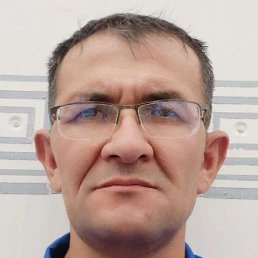 ����, ������, 41 ���