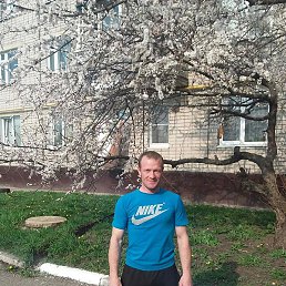 ����������, ������ ��������, 43 ����