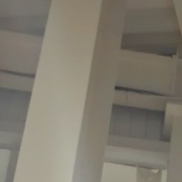 ����, ������, 49 ���