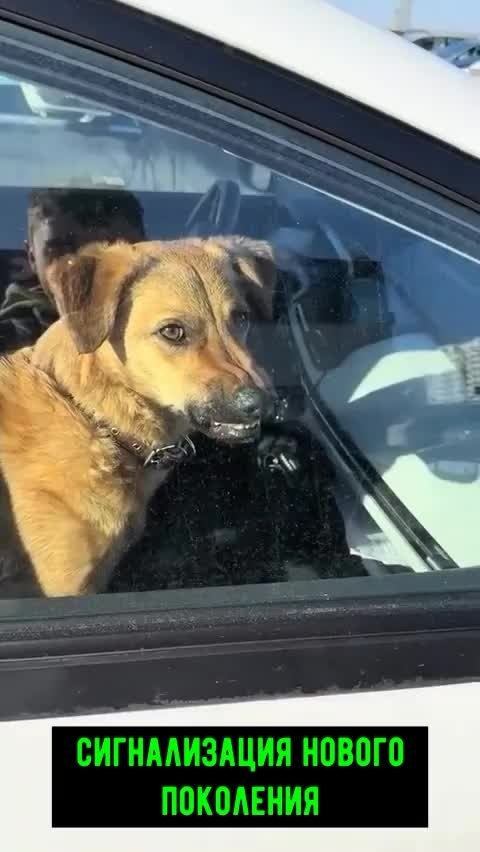�������� ������������