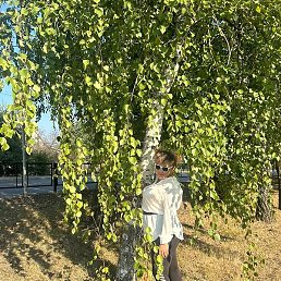 �����, �������, 45 ���