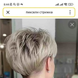 ��������, ����, 49 ���