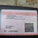 ���� ������ �����-���������, �����-���������, 39 ��� - ��������� 29 ������� 2024 � ������ ���� ����������