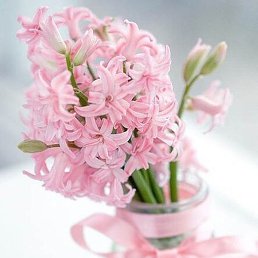 �����, ���������, 28 ���