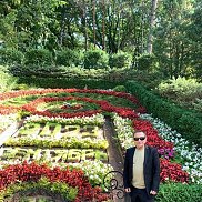 ������, 66 ���, ���������