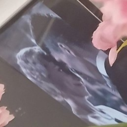 Ghulam Reza, ����, 24 ����