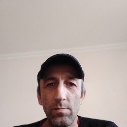 , 44, 