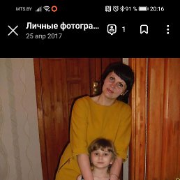 , 44, 