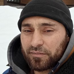 �����, �����-���������, 41 ���