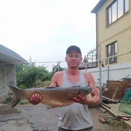 �������, 45 ���, ���������