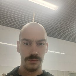 , 33, 