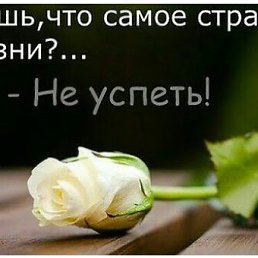 ���� �����, ������, 56 ��� - ��������� 12 ����� 2026