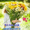 ���� ����, ��������, 68 ��� - ��������� 4 ������� 2024 � ������ ���� ����������