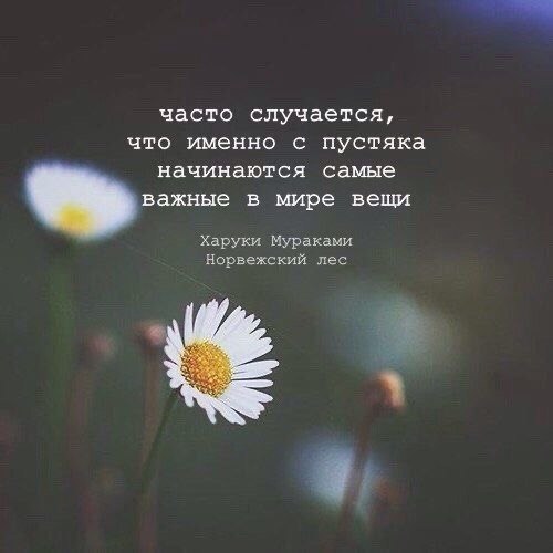   - 31  2025  23:37
